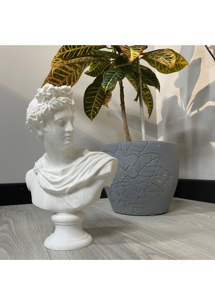 Apollo Büst Antik Yunan Heykel 25 cm Michelangelo Apollon Büstü modelleri