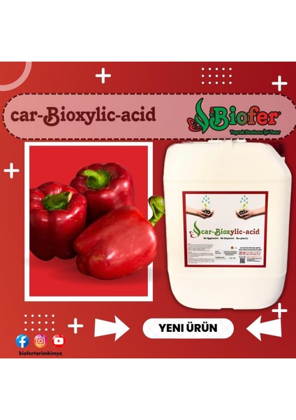 Car Bioxliyc Acid
