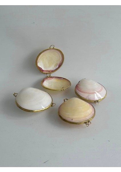 Deniz Kabuğu Cüzdan 6,5 x 3 cm - Clam Kabuk Cüzdan
