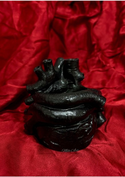 Anatomik Siyah Kalp Beton Dekor Biblo Mumluk Mini Saksı Cilalı fırsatları