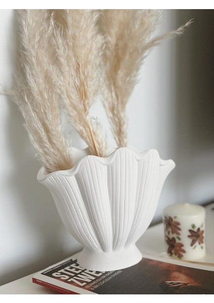 Istiridye Vazo Özel Tasarım (Deniz Kabuğu Vazo)