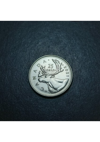 3996367FB94A3DE2BD 2021 Kanada 25CENT Çil Eski Yabancı Madeni Para modelleri