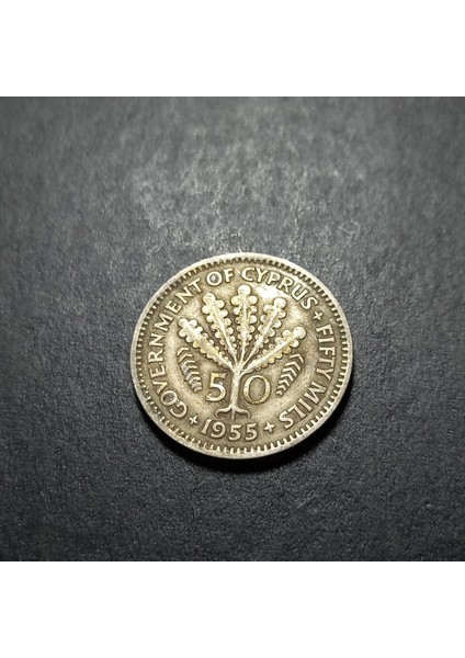 3996367F906B9A8043 1955 Kıbrıs 50 Mils Ççt+/ca Eski Yabancı Madeni Para