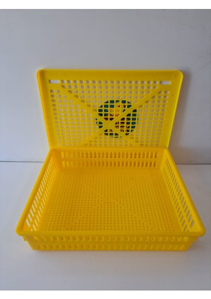 Kuluçka Çıkım Sepeti 50 Tavuk Yumurtası Kapaklı 43X36X10 cm