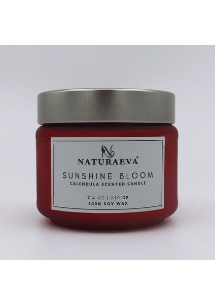 Aynısefa Esanslı Kavanoz Doğal Soya Mum 210GR