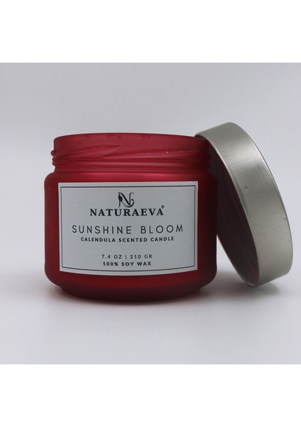 Aynısefa Esanslı Kavanoz Doğal Soya Mum 210GR