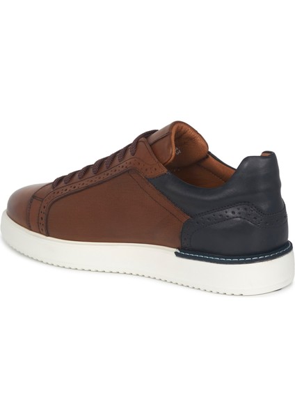 Taba Deri Sneakers Erkek Ayakkabı fiyatları