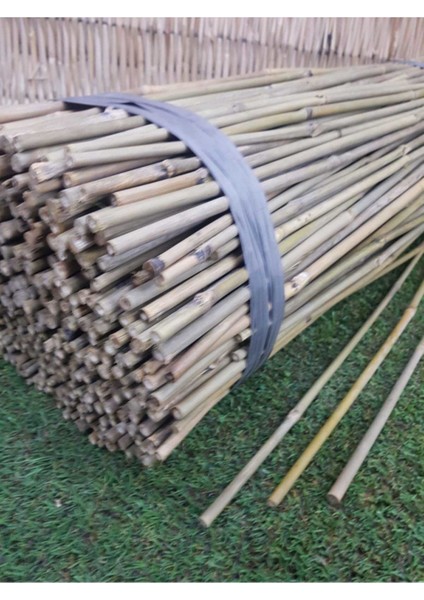 Bambu Çubuk 75 cm 25 Adet 8-10 mm Bambu Çubuğu Bambu Çubukları Bitki Destek Çubuğu