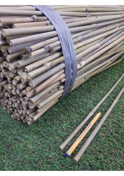 Bambu Çubuk 75 cm 25 Adet 8-10 mm Bambu Çubuğu Bambu Çubukları Bitki Destek Çubuğu fiyatları