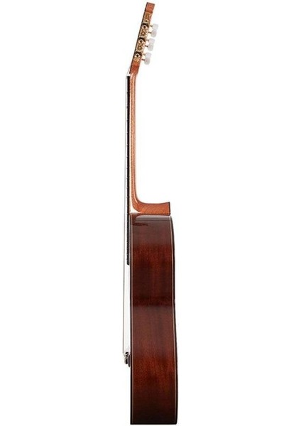 N400+ Klasik Gitar
