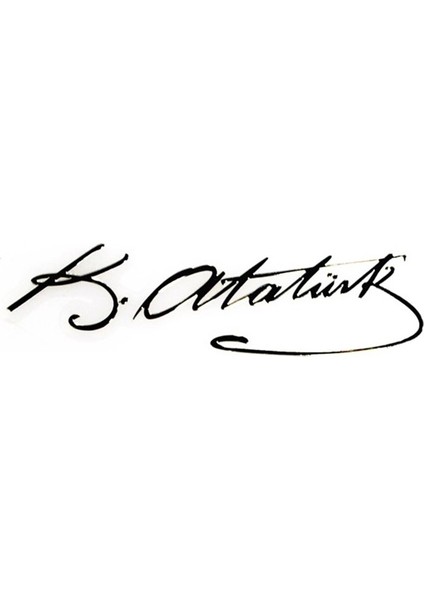 Metalize Sticker (İmza) YACI125