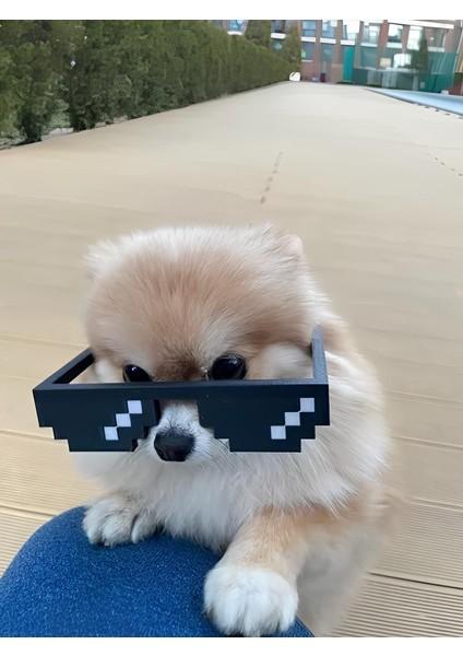 Minecraft Dekoratif Minecraft Gözlüğü fiyatları