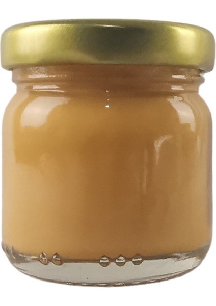 Sır Altı Çini ve Seramik Boyası 40GR 8848-HARDAL Sarısı