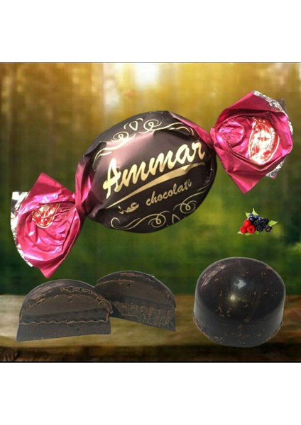 Bitter Kaplamalı Dut Aromalı Bayramlık Ikramlık Ammar Çikolata 300 gr indirimleri