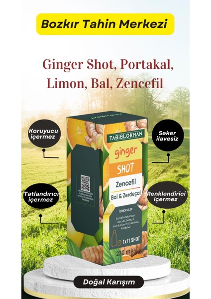 Bozkır Tahin Merkezi Ginger Shot, Portakal, Limon, Bal, Zencefil Doğal Karışım 230GR(KATKISIZ)