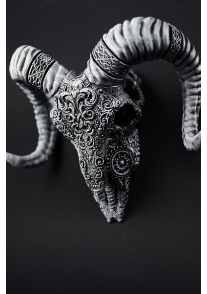 Koyun - Kuru Kafa - Figür / Büst