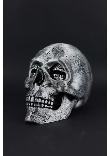 Kuru Kafa - Dekoratif Figür / Büst fiyatları