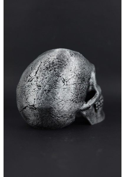 Kuru Kafa - Dekoratif Figür / Büst fırsatları