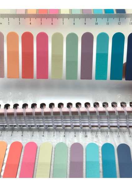 10 Renkli Cetvelli Pembe ve Mavi Tonlar Oval Kenar Şeffaf Pet Indeks Sticker/ındex Sticker/post-It