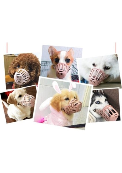 Köpek Koruma Ağızlığı 7 Li Set