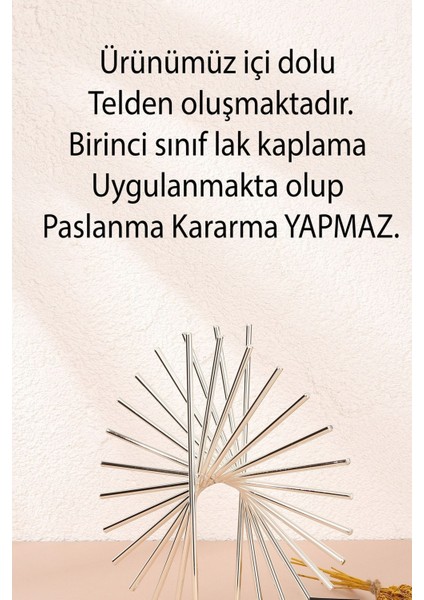 x anthos Gümüş Modern Ev Dekorasyonu Paslanmaz Dolu Demir Dekoratif Obje Ofis Tasarımı 30 cm modelleri