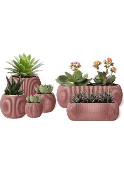 Mercan Dekoratif Sukulent Kaktüs Plastik Saksı Takımı 6'lı Set Pembe