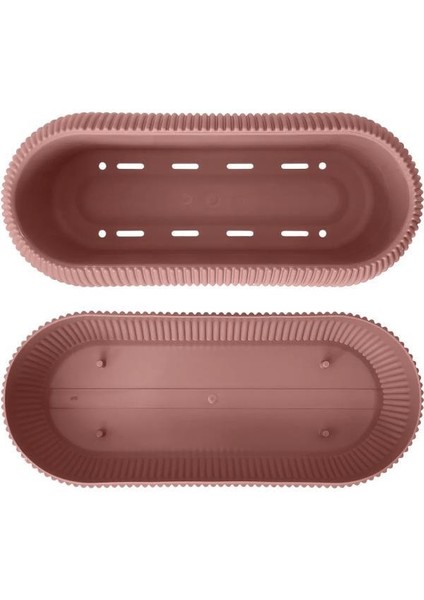Mercan Dekoratif Sukulent Kaktüs Plastik Saksı Takımı 6'lı Set Pembe
