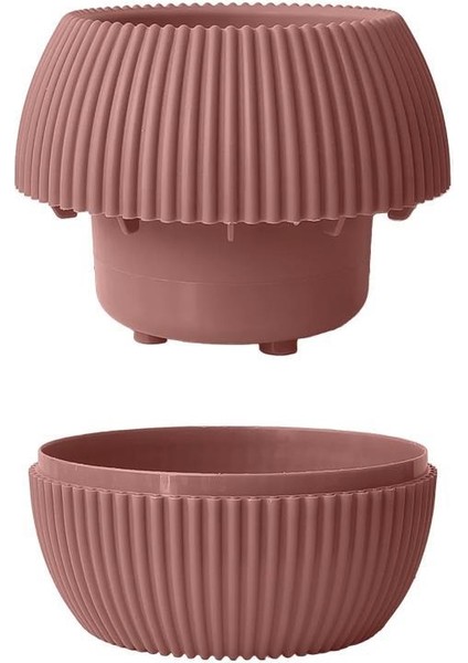 Mercan Dekoratif Sukulent Kaktüs Plastik Saksı Takımı 6'lı Set Pembe