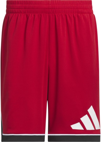 Bos Short Erkek Şort Jn4731