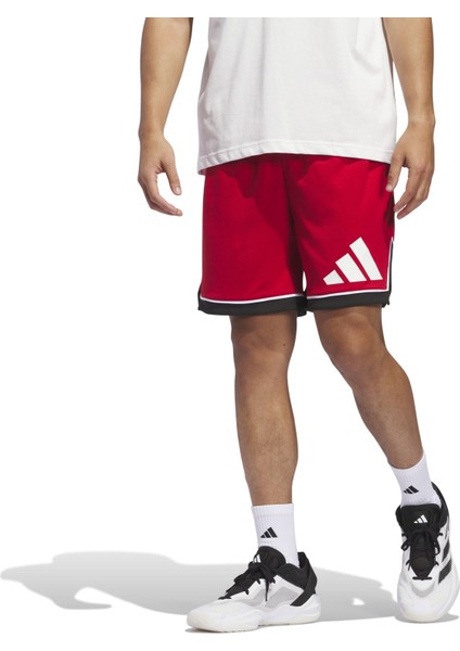Bos Short Erkek Şort Jn4731