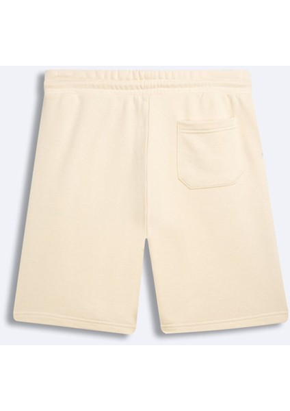 Erkek Basıc Regular Midi Bej Şort fiyatları