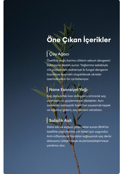 Tea Tree Purifying Tonic – Çay Ağacı Özlü Arındırıcı Tonik indirimleri