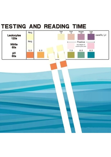 Beyaz 100 Parçalı Idrar Test Şeritleri Kolay Kullanım Hızlı Ölçüm Lökosit Nitrit Dropship Için Idrar Yolu Test Şeridi (Yurt Dışından) indirimleri