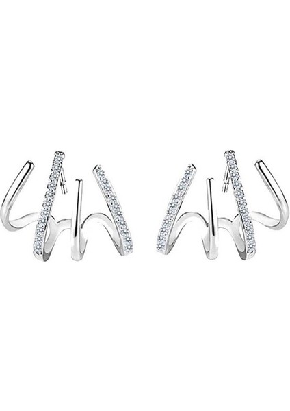 2 Çift S925 Gümüş Soğuk Rüzgar ve Elmas Pençe Eterik Küpe Narin Niş Kız Küpe G7193 (Yurt Dışından)