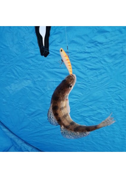 Teknik Vıb Buz Balıkçılığı Yemleri 80MM 16G Dudaksız Krank Yemleri Rattlin Yem Batıran Yapay Wobbler B Pike Kış Ima Koume Yemi (Yurt Dışından) modelleri