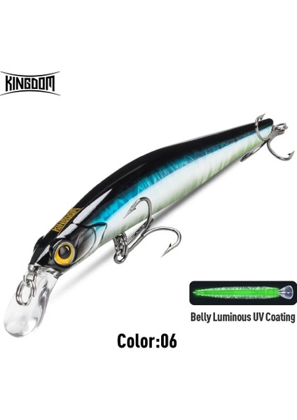 Kingdom Sinking Minnow Yem 60 80 95 105MM Titreşimli Sinking Jerkbati Swimbait Mıknatıs Transfer Uzun Atış Sert Balıkçılık Yemi (Yurt Dışından)