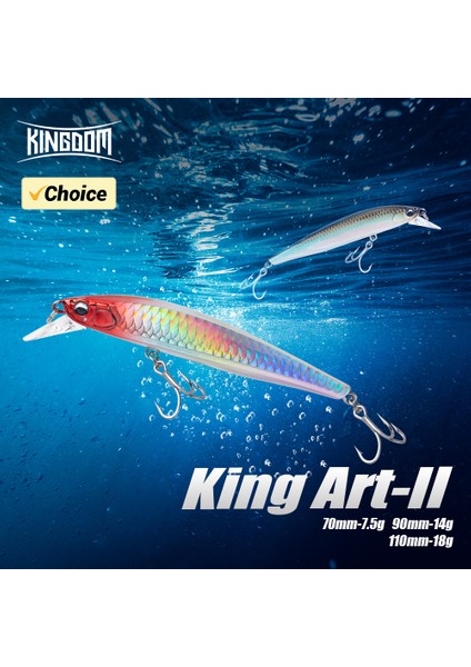 Kingdom Yapay Batık Minnow Balıkçılık Yemi 7.5g 14G 18G 70MM 90MM 110MM Jerkbaits Sert Yem Sea B Balıkçılık Takımları (Yurt Dışından) fiyatları