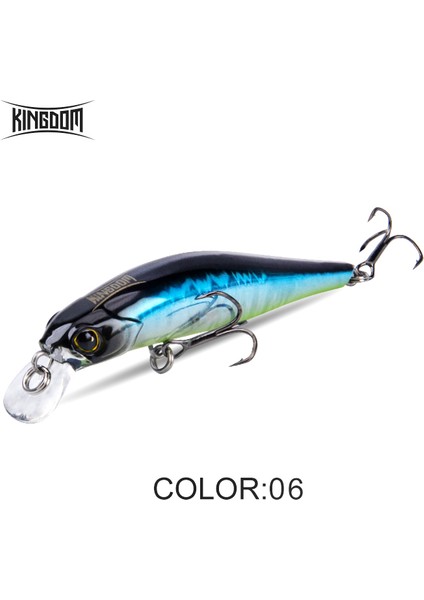 Kingdom Sinking Minnow Tuzlu Su Balıkçılığı Yemleri Crankbait Sert Yemler Iyi Aksiyon Wobblers Yapay Alabalık Yemi Deniz B (Yurt Dışından)