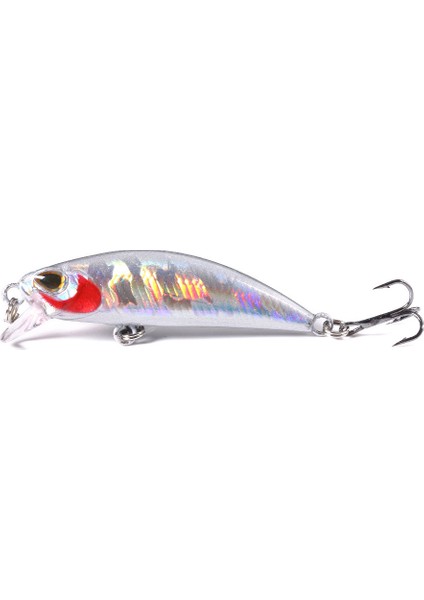 Adet 5.8cm 5.4g Pesca Jerkbait Yemi Batık Minnow Balıkçılık Yemleri Sert Yem Siyah Minnow Wobbler Balıkçılık Takımı (Yurt Dışından)
