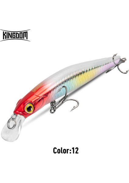 Kingdom Sinking Minnow Tuzlu Su Balıkçılığı Yemleri Crankbait Sert Yemler Iyi Aksiyon Wobblers Yapay Alabalık Yemi Deniz B (Yurt Dışından)
