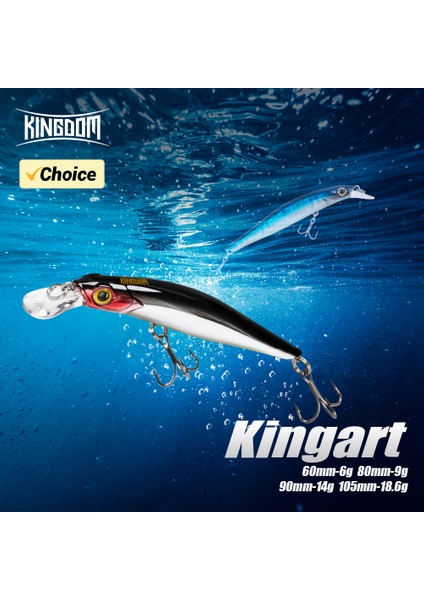 Kingdom Sinking Minnow Tuzlu Su Balıkçılığı Yemleri Crankbait Sert Yemler Iyi Aksiyon Wobblers Yapay Alabalık Yemi Deniz B (Yurt Dışından) modelleri
