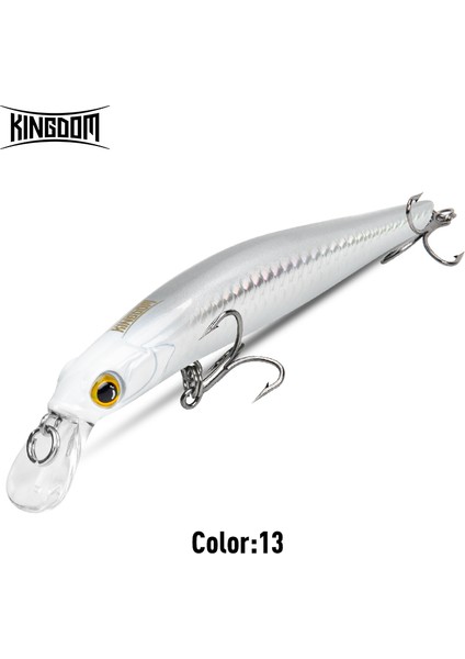 Kingdom Sinking Minnow Tuzlu Su Balıkçılığı Yemleri Crankbait Sert Yemler Iyi Aksiyon Wobblers Yapay Alabalık Yemi Deniz B (Yurt Dışından)