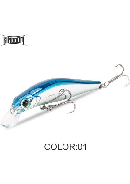 Kingdom Sinking Minnow Tuzlu Su Balıkçılığı Yemleri Crankbait Sert Yemler Iyi Aksiyon Wobblers Yapay Alabalık Yemi Deniz B (Yurt Dışından)