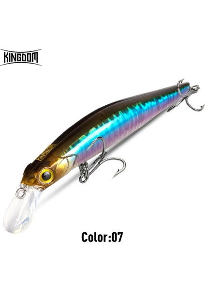 Kingdom Sinking Minnow Yem 60 80 95 105MM Titreşimli Sinking Jerkbati Swimbait Mıknatıs Transfer Uzun Atış Sert Balıkçılık Yemi (Yurt Dışından)