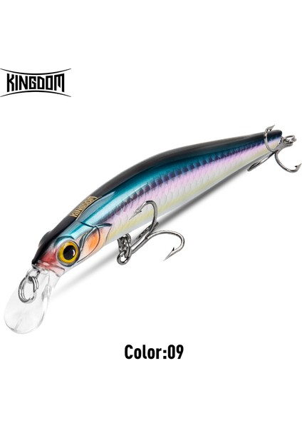 Kingdom Sinking Minnow Tuzlu Su Balıkçılığı Yemleri Crankbait Sert Yemler Iyi Aksiyon Wobblers Yapay Alabalık Yemi Deniz B (Yurt Dışından)