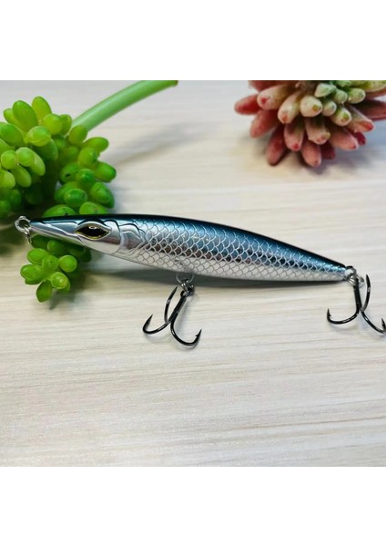 Teknik Fishing Lure 2024 Yüzen Kalem Yem 90/110/130MM Stickbait Asturies Wobbler Topwater Asturie Yemleri Deniz Palamutları Için (Yurt Dışından)