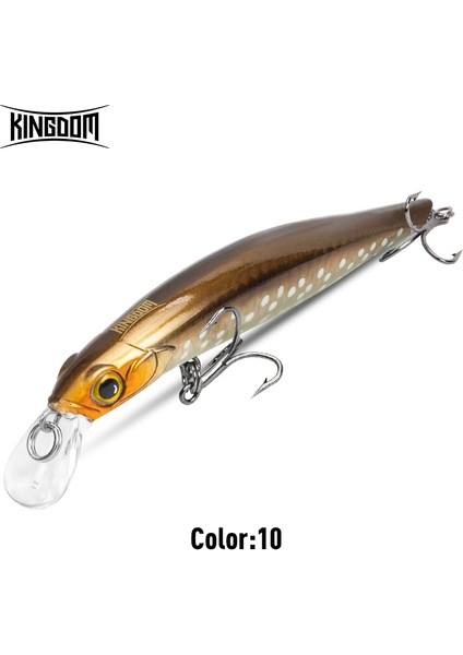 Kingdom Sinking Minnow Tuzlu Su Balıkçılığı Yemleri Crankbait Sert Yemler Iyi Aksiyon Wobblers Yapay Alabalık Yemi Deniz B (Yurt Dışından)