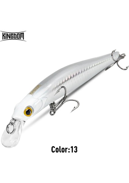 Kingdom Sinking Minnow Yem 60 80 95 105MM Titreşimli Sinking Jerkbati Swimbait Mıknatıs Transfer Uzun Atış Sert Balıkçılık Yemi (Yurt Dışından)