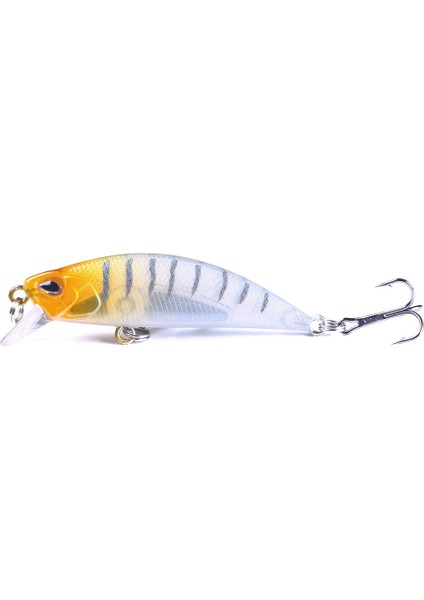 Adet 5.8cm 5.4g Pesca Jerkbait Yemi Batık Minnow Balıkçılık Yemleri Sert Yem Siyah Minnow Wobbler Balıkçılık Takımı (Yurt Dışından)