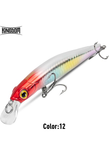 Kingdom Sinking Minnow Yem 60 80 95 105MM Titreşimli Sinking Jerkbati Swimbait Mıknatıs Transfer Uzun Atış Sert Balıkçılık Yemi (Yurt Dışından)